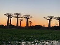 IMG_1650