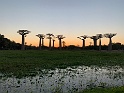 IMG_1651