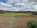 IMG_1728