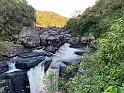 IMG_1807