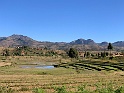IMG_1818