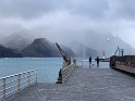 IMG_2133