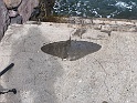 IMG_2159