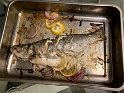 IMG_2206