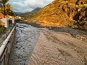 IMG_2415