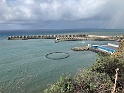 IMG_3192