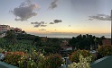 IMG_3267