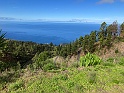 IMG_3344