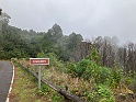 IMG_3351