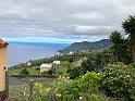 IMG_3353