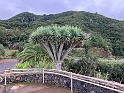 IMG_3362