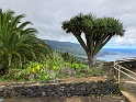 IMG_3363