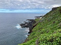 IMG_3366