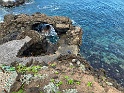 IMG_3380
