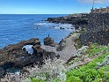 IMG_3384