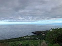 IMG_3390