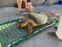 IMG_3404
