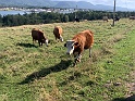 IMG_2818