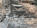 IMG_2839