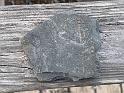 IMG_2841