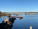 IMG_2884