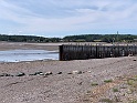 IMG_2922