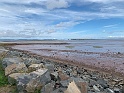 IMG_2949