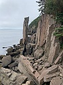 IMG_2987