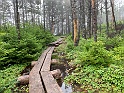 IMG_3077