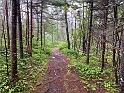 IMG_3078
