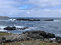 IMG_3145