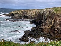 IMG_3152