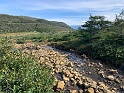 IMG_3288