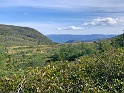 IMG_3289